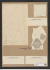 Triceratium arcticum Brightw. (de-Toni-Nr.: Genus 140, Species 3719) Zeichnungen Sammlung Grunow Nr. 7211 (NHMW-BOT-W0376200)